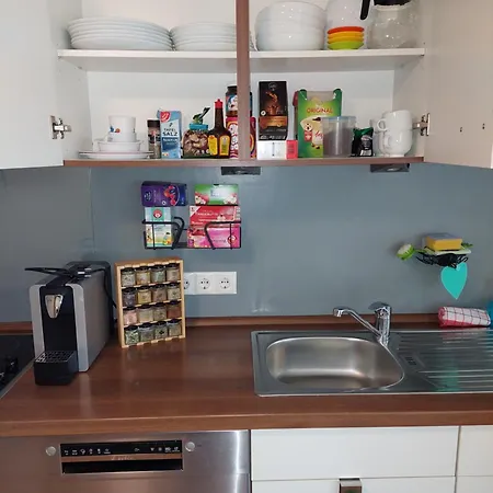 Alte Schmiede Apartament Pasawa